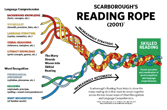 Scarborough's Reading Rope diagram showing the strands of word recognition and language comprehension woven together into skilled reading